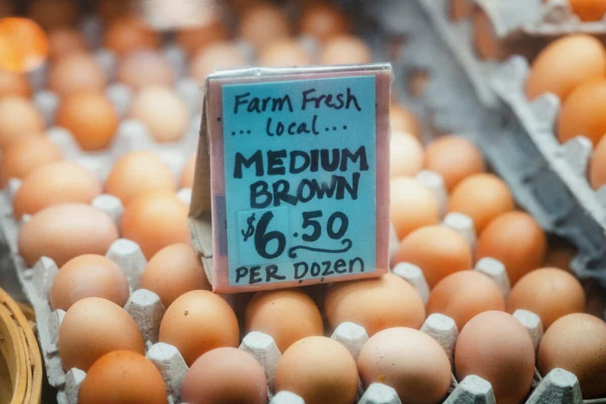 Consumer Choice and Market Demand