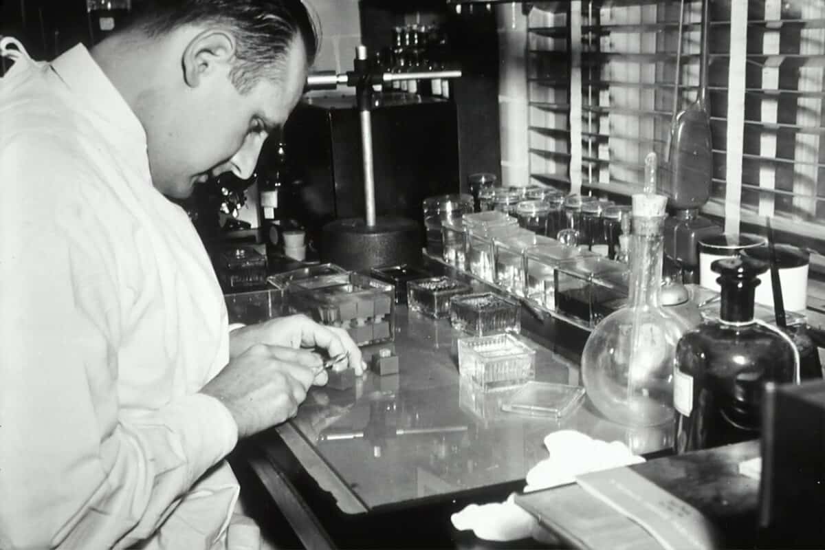 Jonathan's Impact on Scientific Research