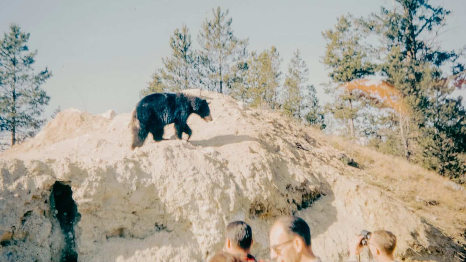 A group of people standing around a bear on top of a hill