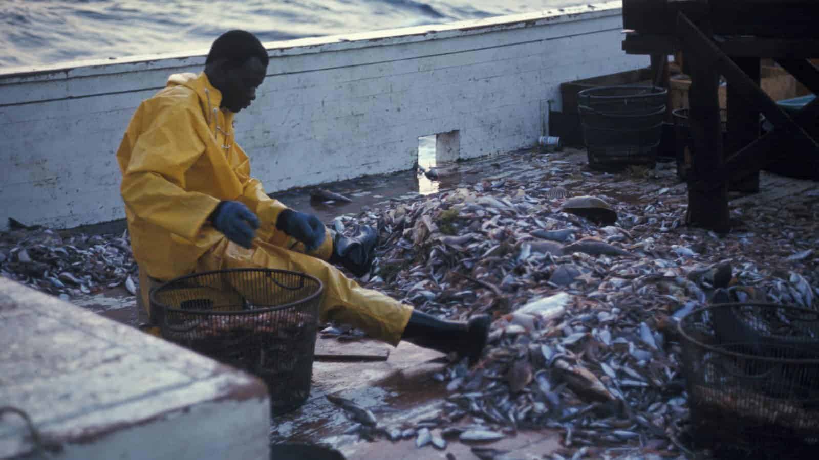 man sitting on stool infront of bunch of fish