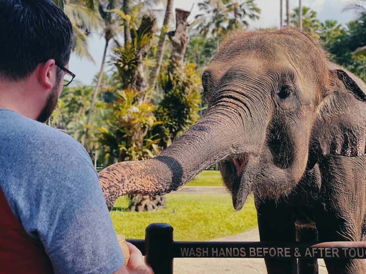 Scientific Contributions to Elephant Research 