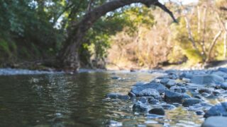 A typical view of a creek.