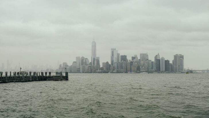 Surprising Marine Life Found Off New York&rsquo;s Coast