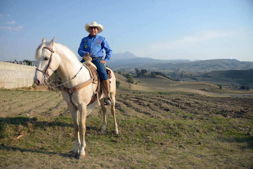 A cowboy on a white horse in a scenic outdoor pasture with distant mountains under a clear blue sky.