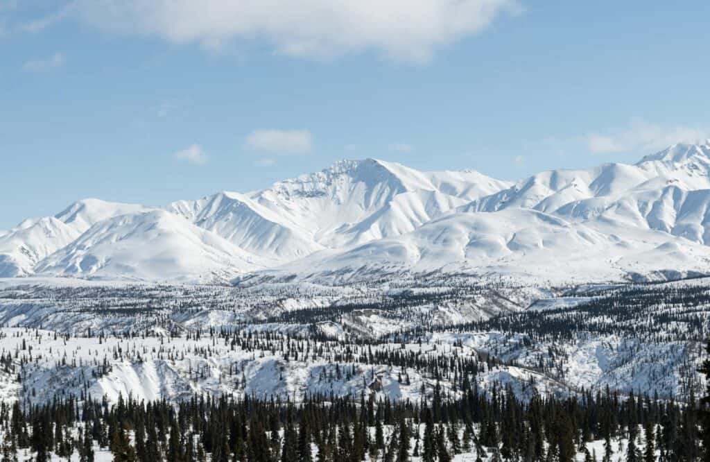 Breathtaking view of snow-covered Alaskan mountains with evergreen trees during winter.