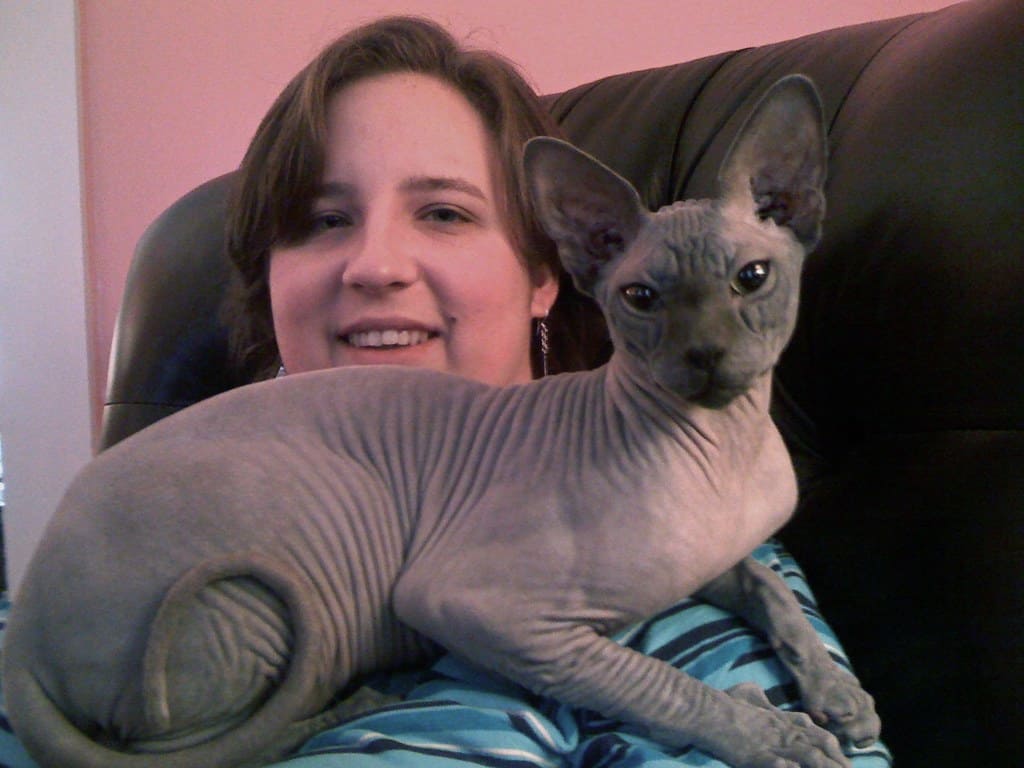 Sphynx - The Attention-Seeking Cuddle Expert (image credits: flickr)