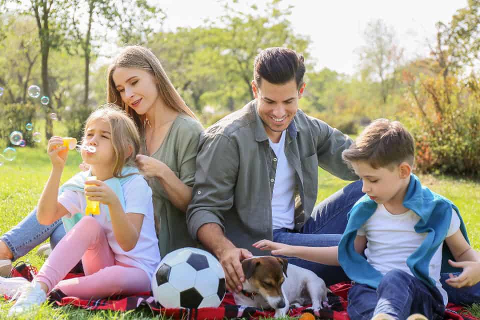 Making the Right Choice for Your Family (image credits: stocksnap)