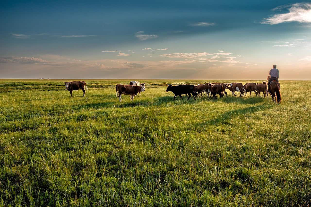 Why the Great Plains Are Lightning's Favorite Playground (image credits: pixabay)