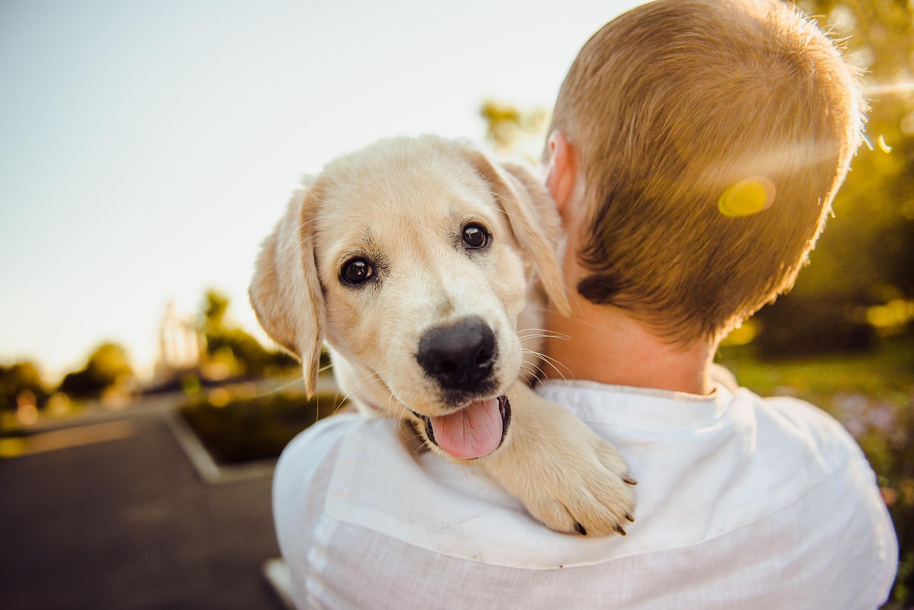 #9 What Their Pet Would Be Most Excited About in the Future (image credits: pixabay)