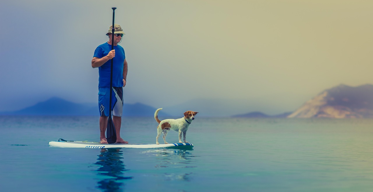 #6 If Their Pet Could Have Any Hobby (image credits: pixabay)