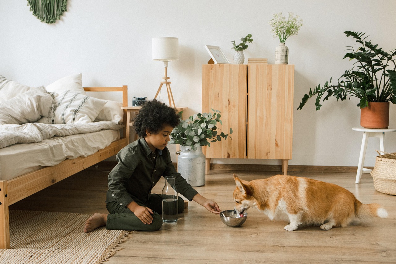 24. Teaching Pet Care Routines (image credits: pixabay)