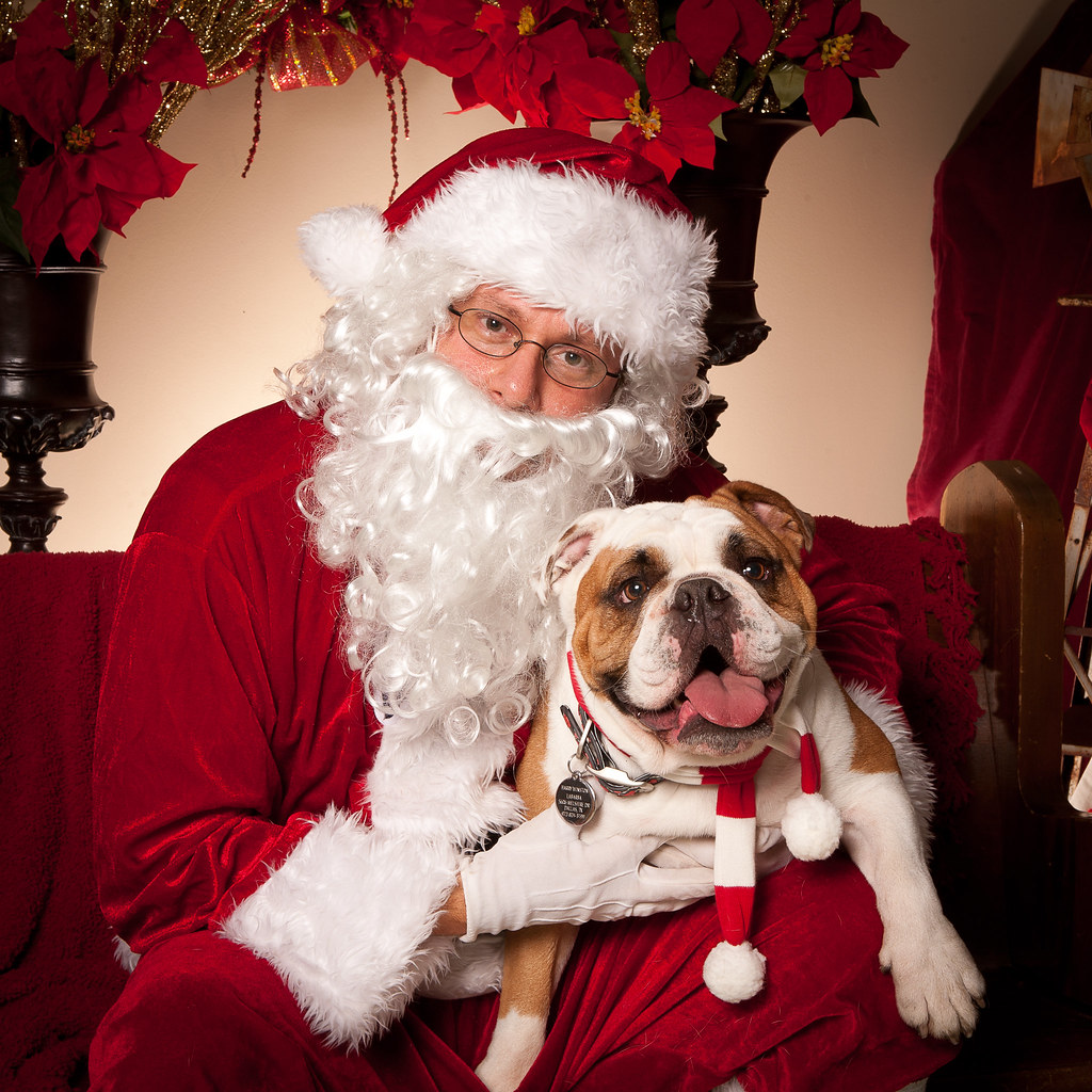 19. Designing Pet Costumes for Holidays (image credits: flickr)