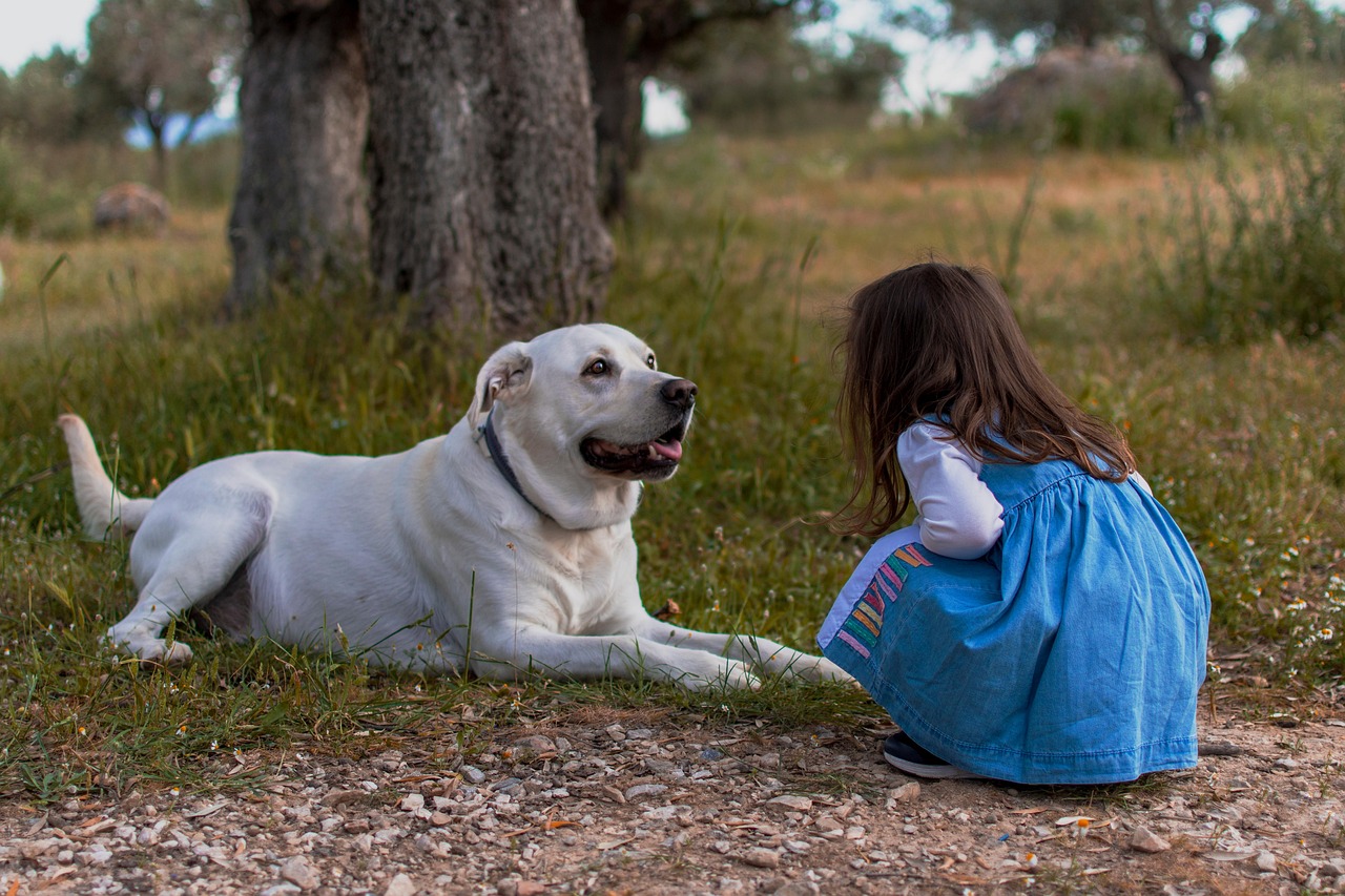 14. Recording Pet Video Diaries (image credits: pixabay)