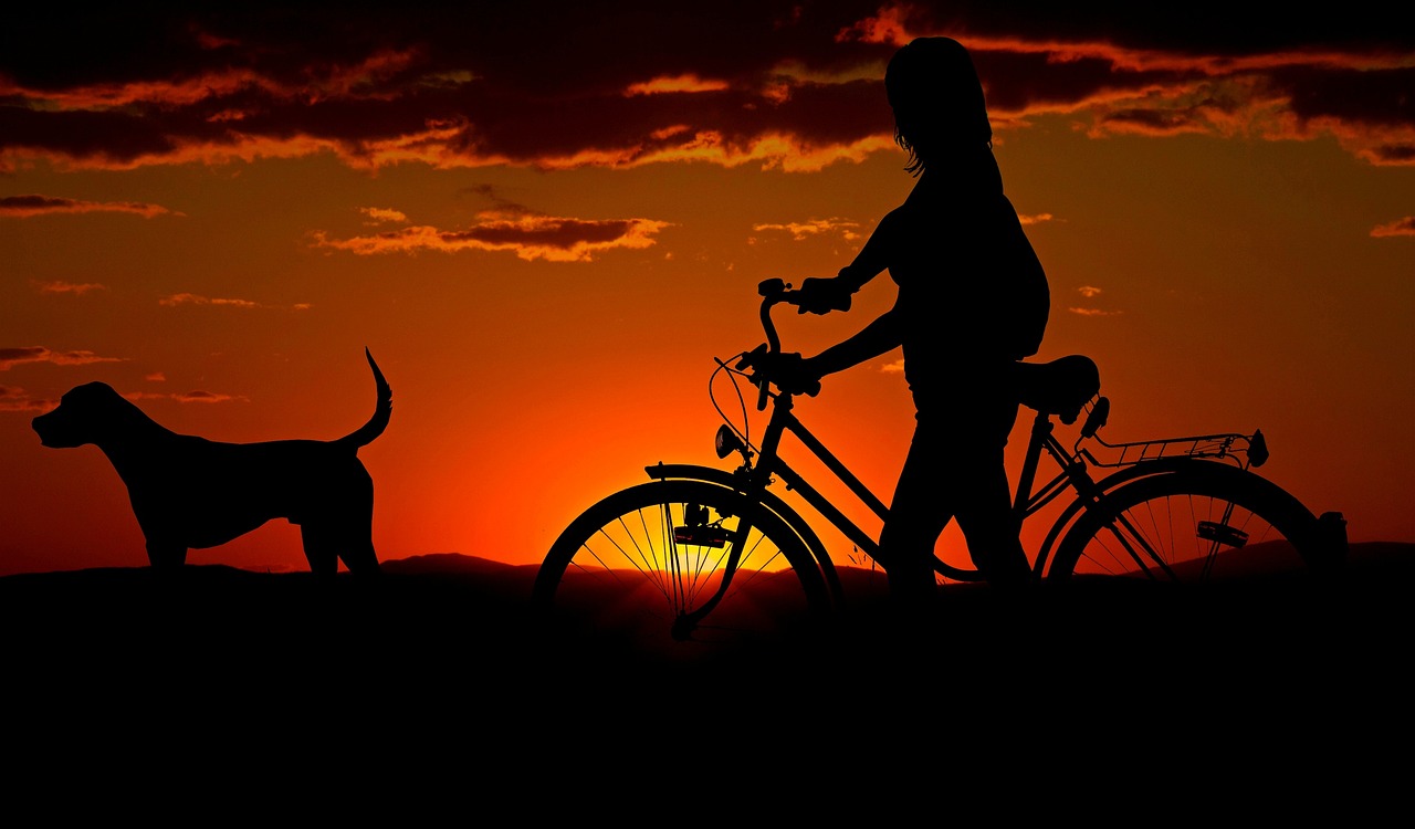 They Slash Your Loneliness by Over a Third (image credits: pixabay)