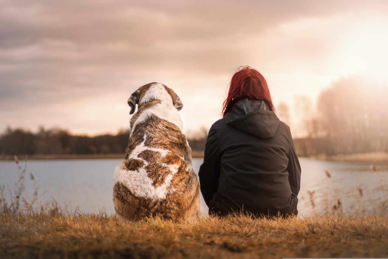 Dogs: Humanity's Most Devoted Partners (image credits: pixabay)