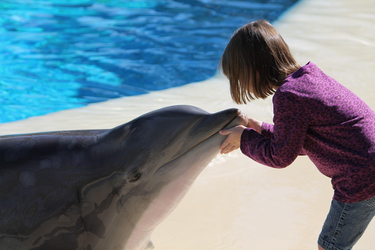 Dolphins: Ocean's Most Social Geniuses (image credits: pixabay)
