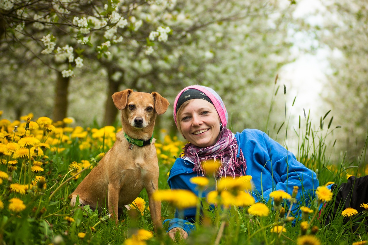 The Science Behind Lifelong Animal-Human Bonds (image credits: pixabay)