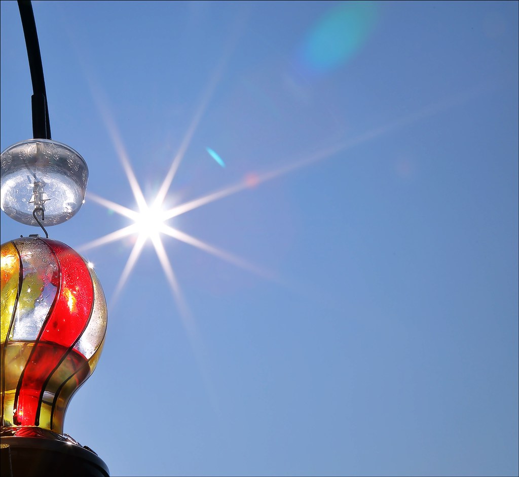Placing Feeders in Full Sun All Day (image credits: flickr)