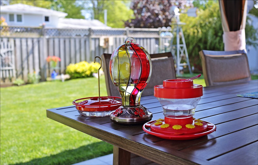 Using Feeders That Are Hard to Clean (image credits: flickr)