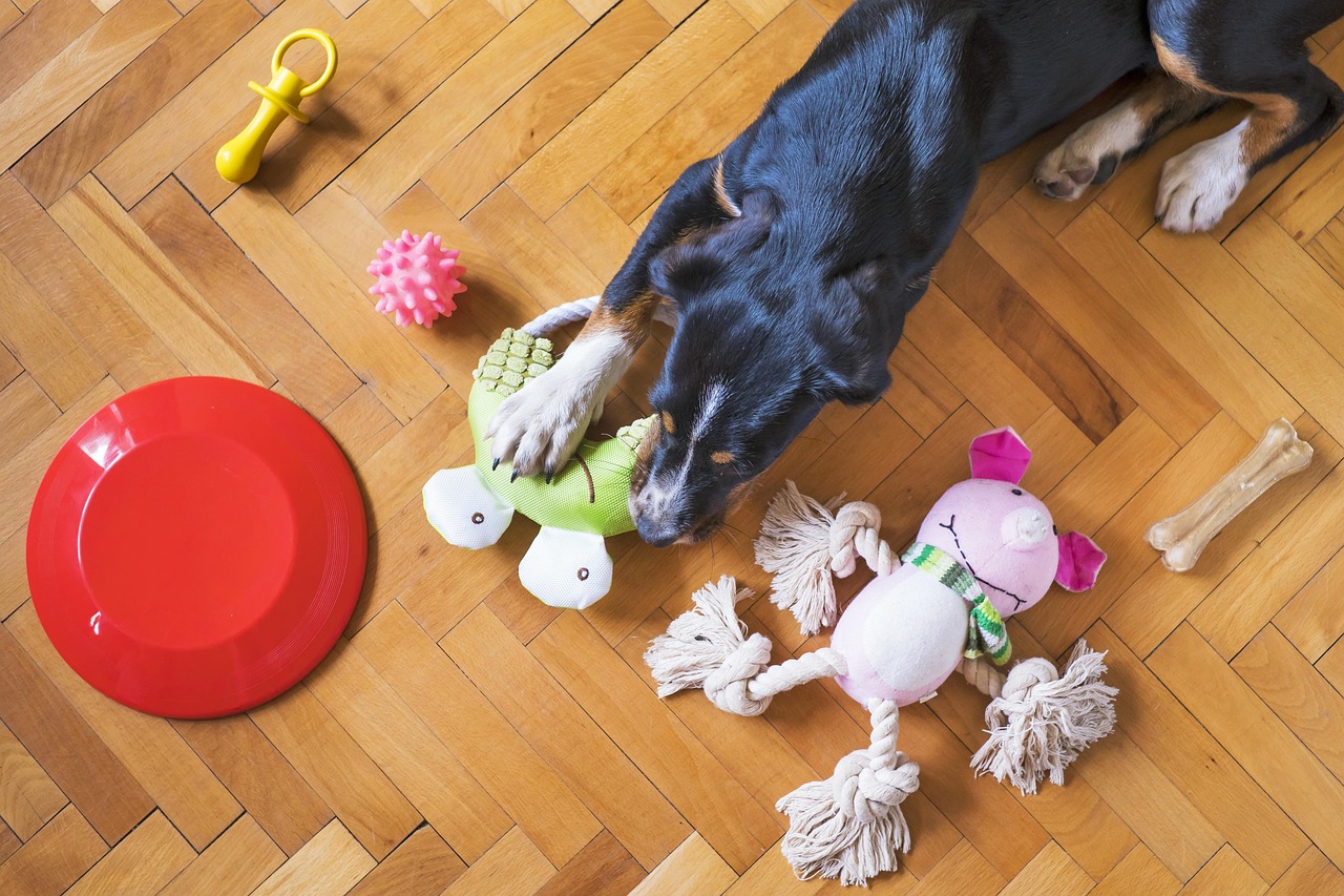 20. Rope Toys for Interactive Play (image credits: pixabay)
