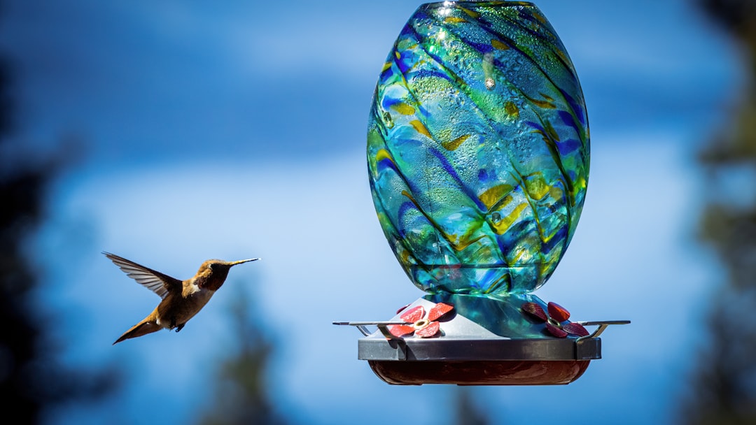 Poor Feeder Selection and Design (image credits: unsplash)