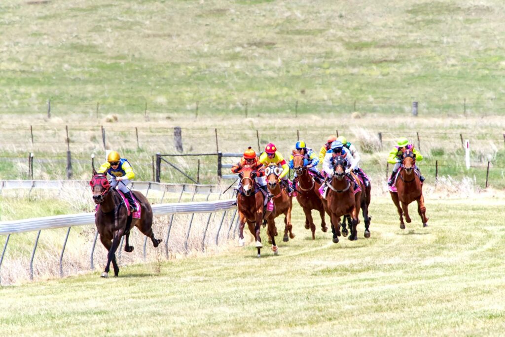 Exciting horse race with jockeys in colorful attire on a grass track.