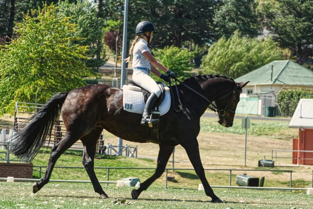A young female equestrian skillfully rides a dark horse in a lush outdoor setting, displaying grace and control.