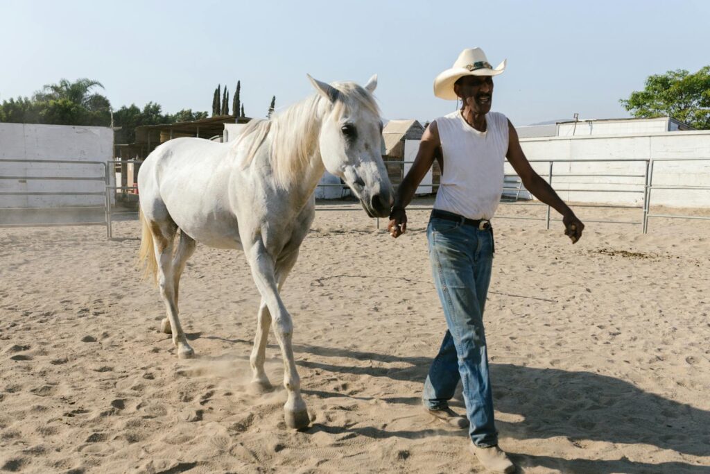 A man walks a white horse in a sunlit ranch, showcasing equestrian life.
