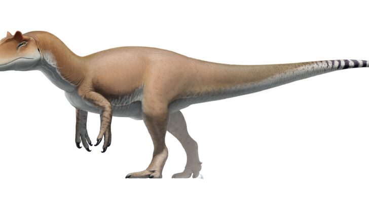 Jurassic World Dominion Dinosaurs