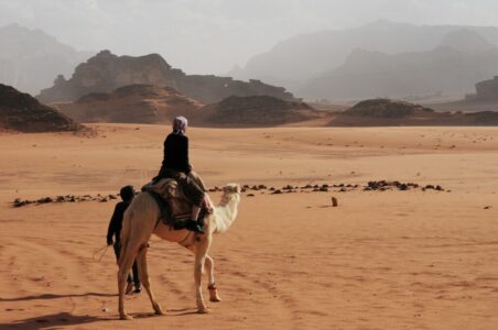 The Fastest Mover on Sand – It’s Practically a Blur
