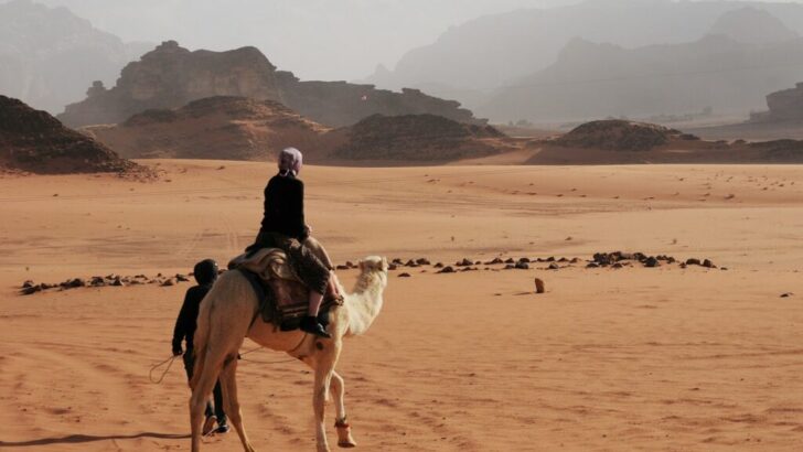The Fastest Mover on Sand – It’s Practically a Blur