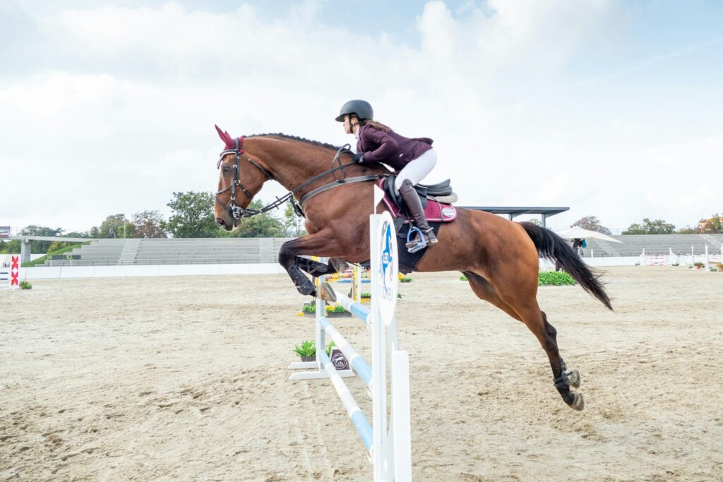 man riding brown horse during daytime