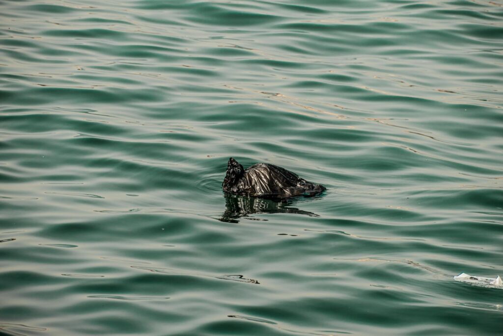 A plastic bag floating in water highlights pollution in Dubai waterways.