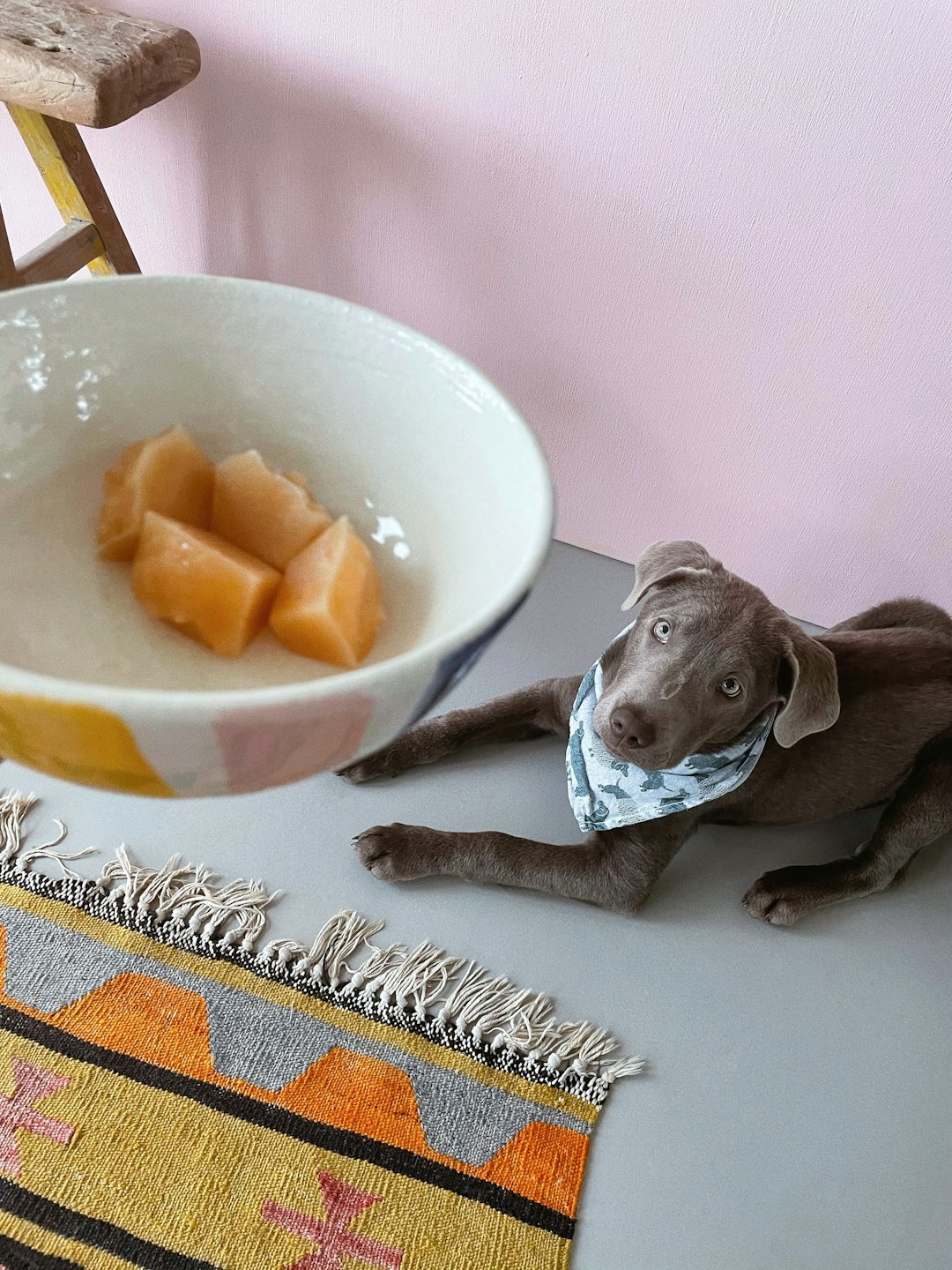 Sweet Potatoes: The Orange Powerhouse (image credits: unsplash)