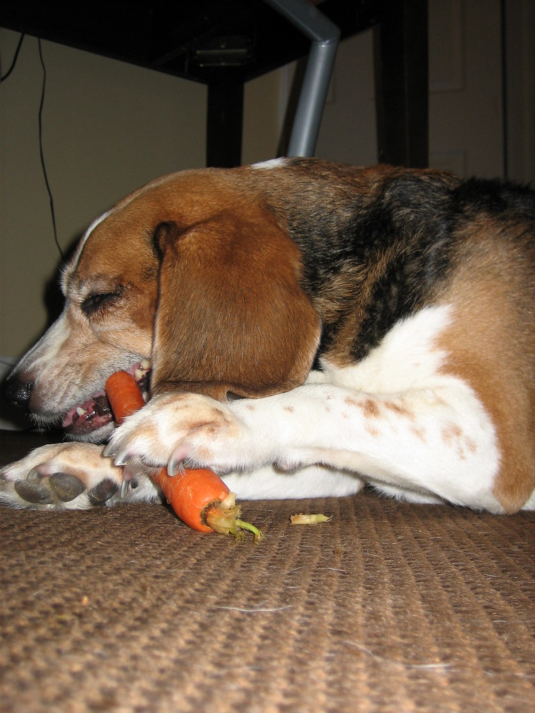 Carrots: The Crunchy Dental Cleaners (image credits: flickr)
