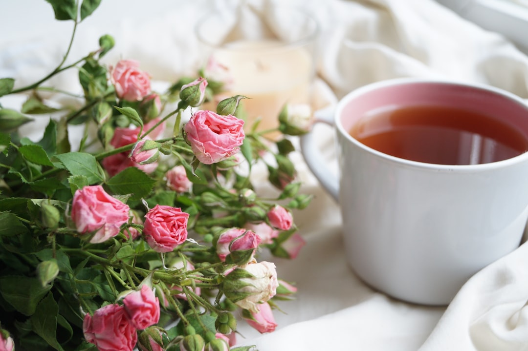 Tea Rose Begonia: The Floral Surprise (image credits: unsplash)