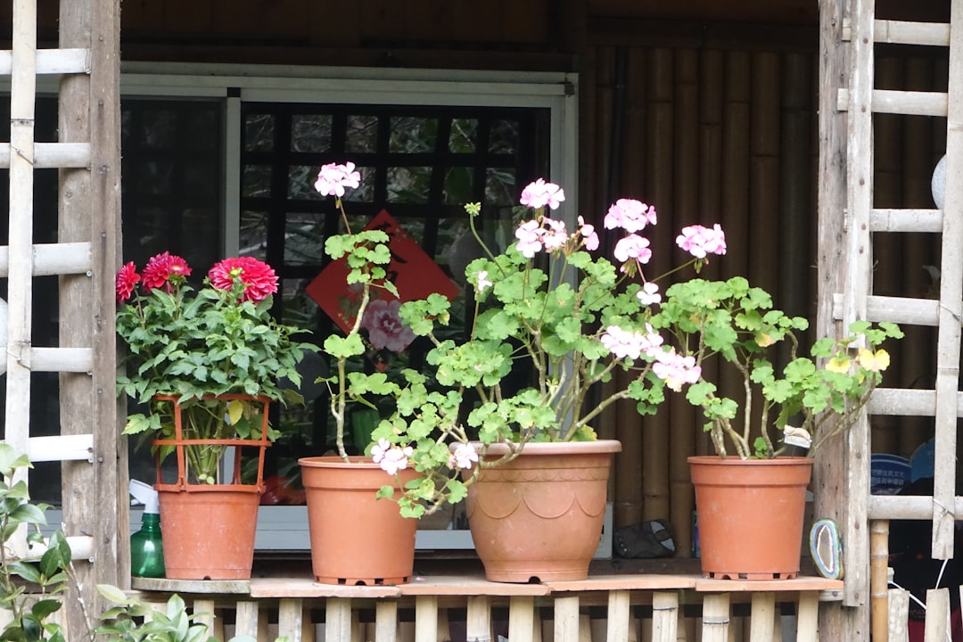 Creating Your Fragrant Home Garden (image credits: unsplash)