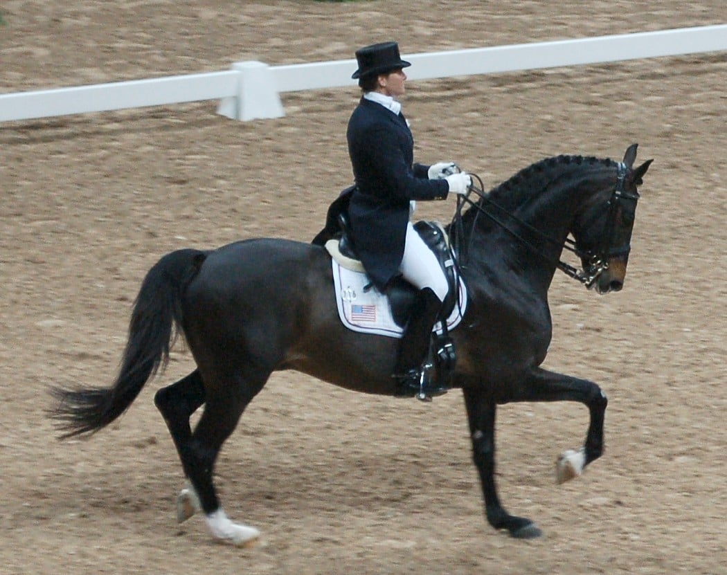 Warmbloods - Expensive Problems in Elegant Packages (image credits: wikimedia)