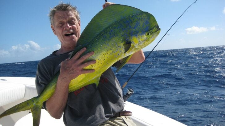 15 World’s Most Expensive Fish to Eat, But are Worth the Price Tag