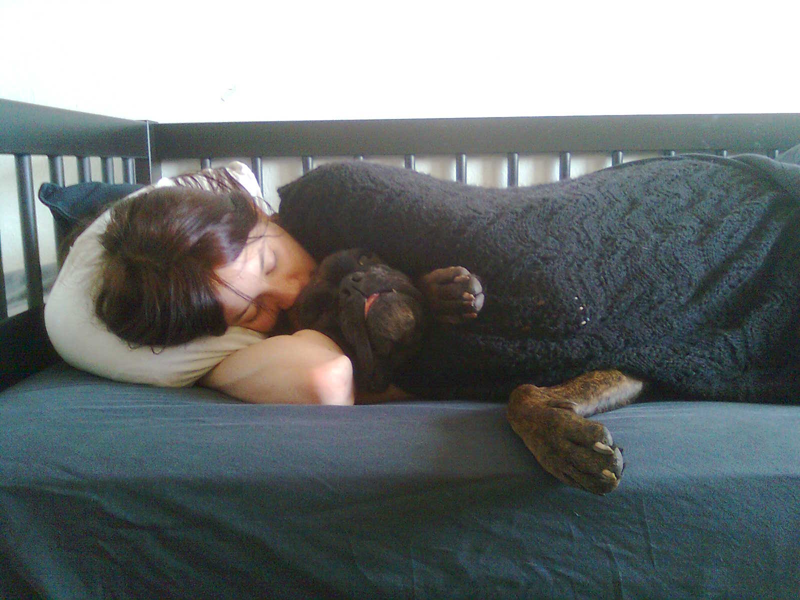 Letting Them Sleep Close to You (image credits: wikimedia)