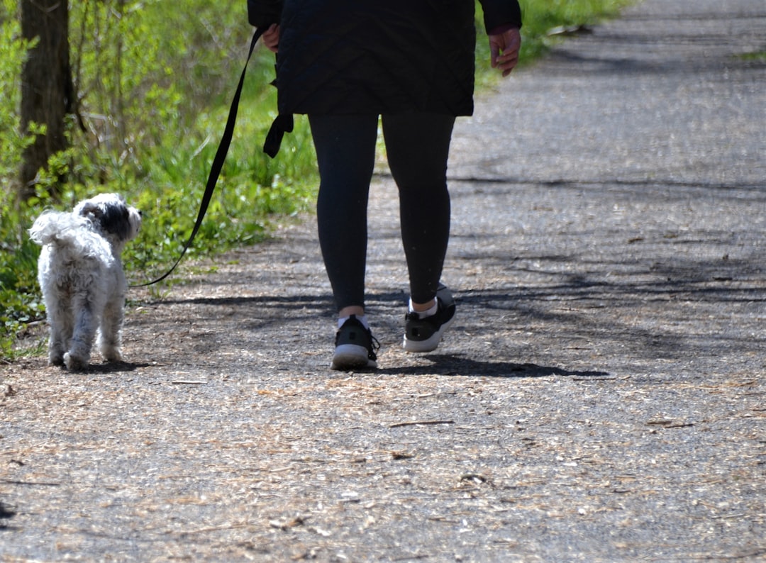 Taking Your Time During Walks (image credits: unsplash)