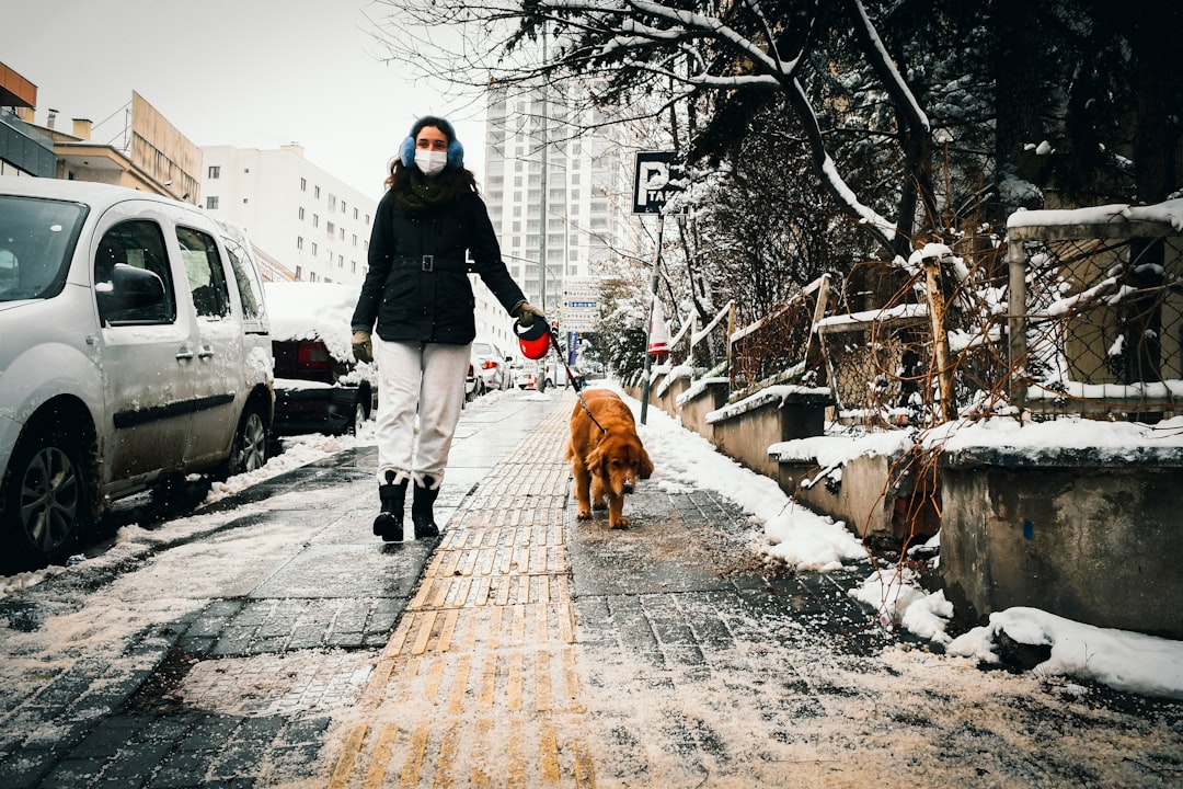 Creating Consistent Daily Routines (image credits: unsplash)