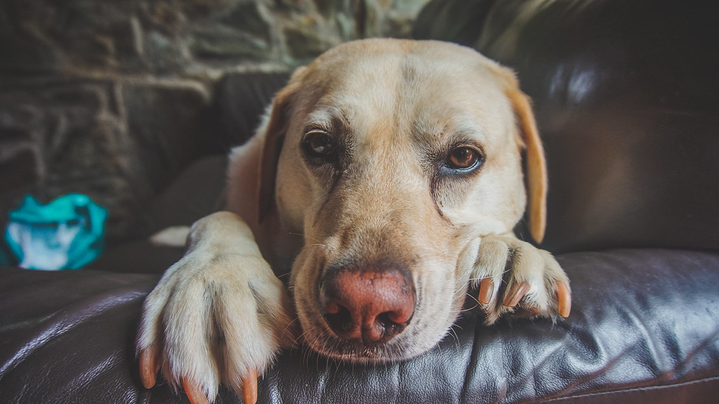 Respecting Their Need for Personal Space (image credits: flickr)