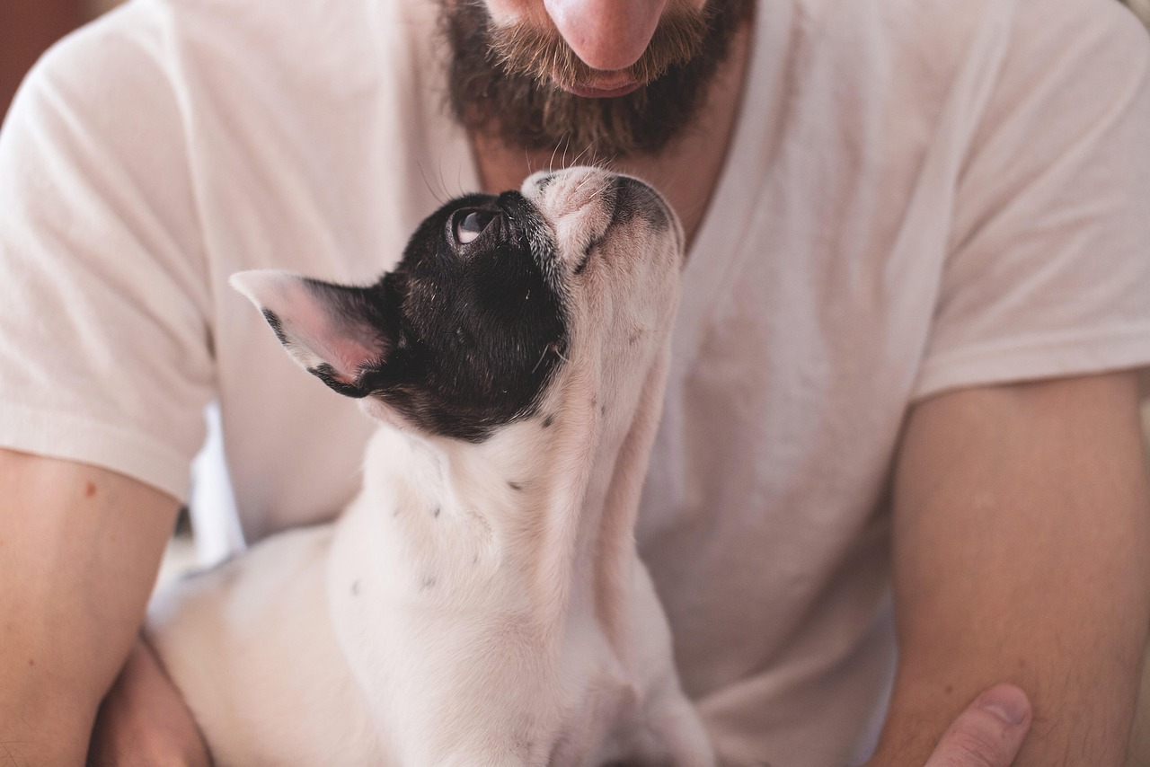 Sharing Quiet Snuggle Time (image credits: pixabay)
