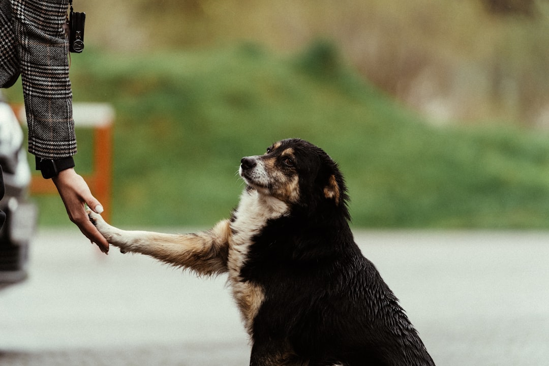 Making Ordinary Moments Feel Special (image credits: unsplash)