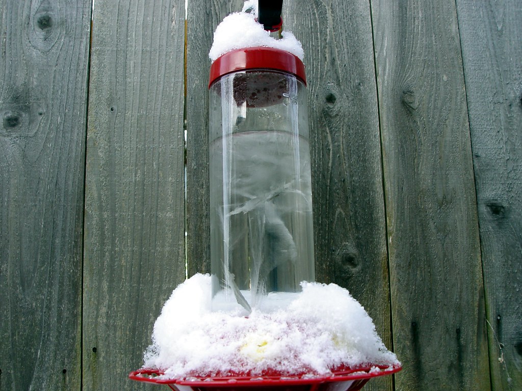 Leaving Feeders Out During Freezing Weather (image credits: flickr)