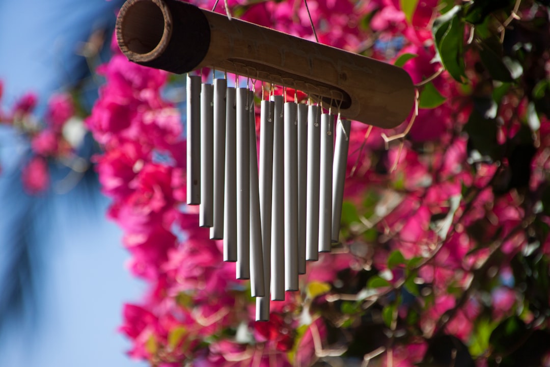 17. Wind Chimes and Sound Pollution Create an Unwelcome Atmosphere (image credits: unsplash)