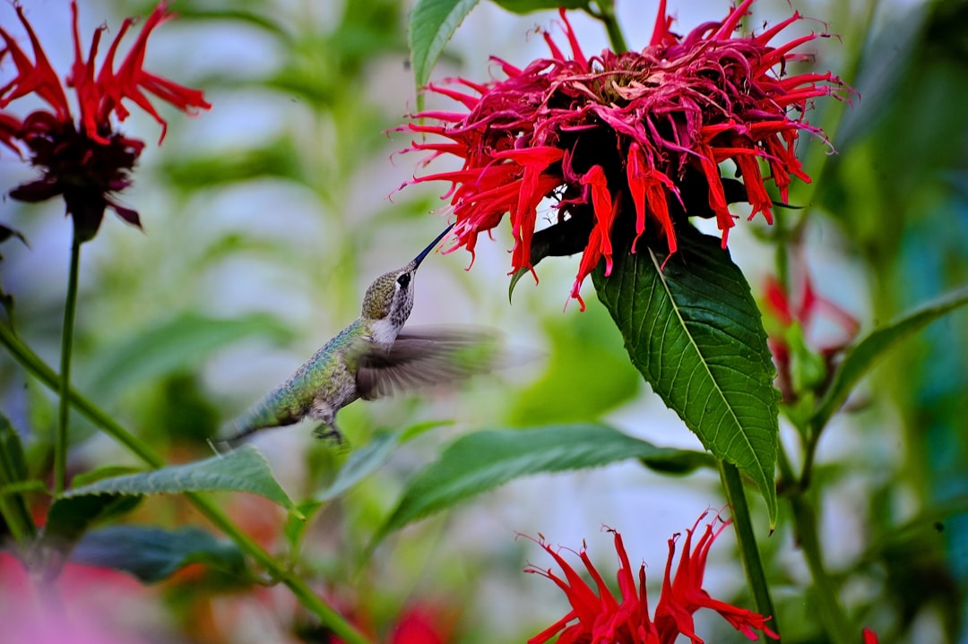 8. Exposure to Garden Chemicals and Pesticides (image credits: unsplash)