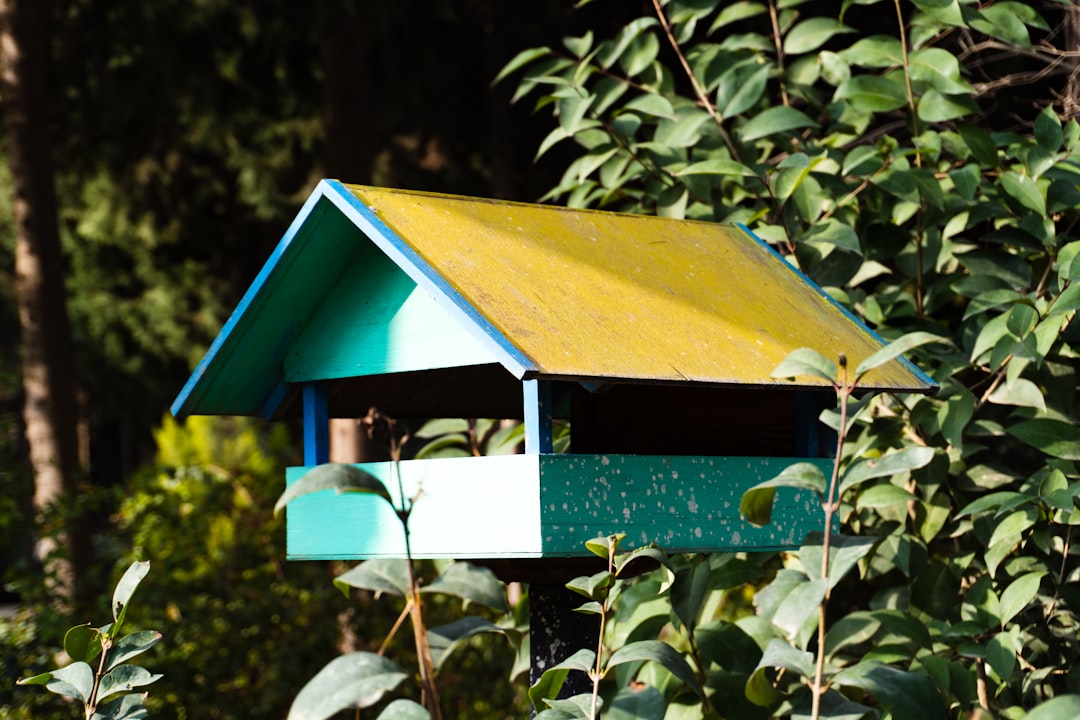 2. Not Providing Adequate Shelter (image credits: unsplash)