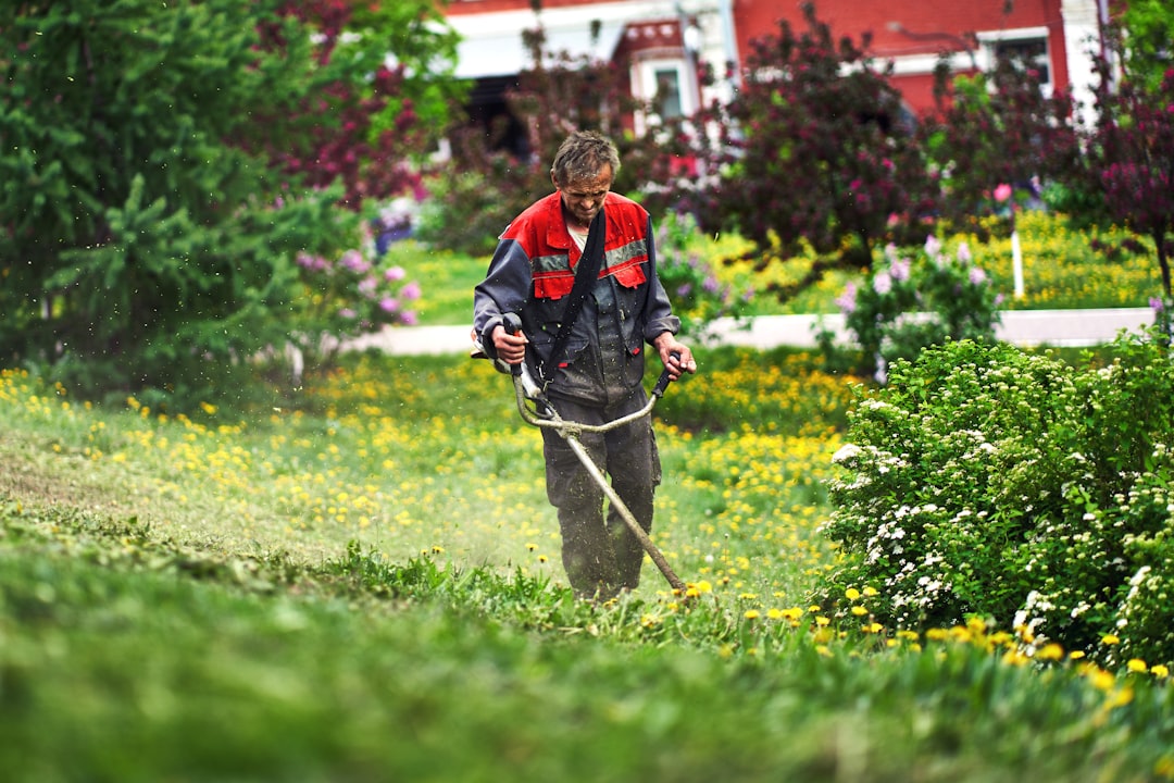 Avoid Pesticides Completely (image credits: unsplash)